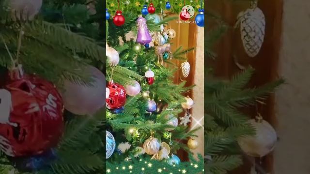 Shorts С Наступающим Рождеством Христовым! 🌲 ❄️🎄