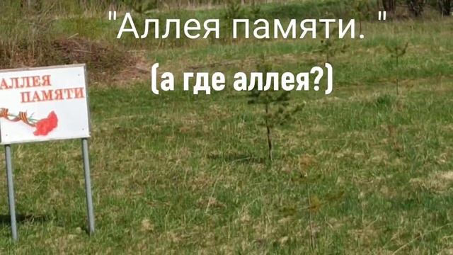 Пешком по Пыщугу.