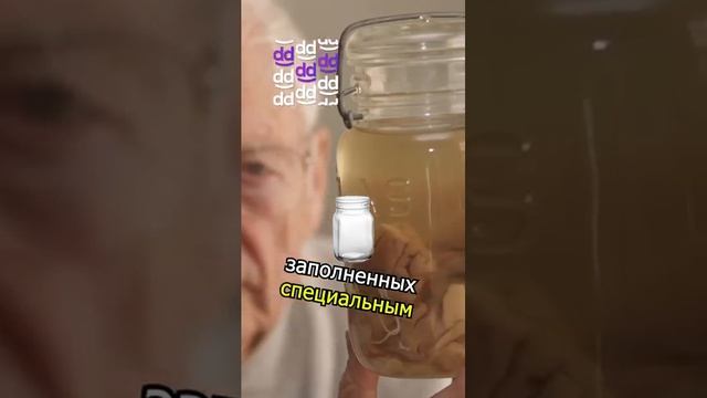 🧠 МОЗГ ЭЙНШТЕЙНА УКРАЛИ! 😨 #шортс #эйнштейн #гений #факты
