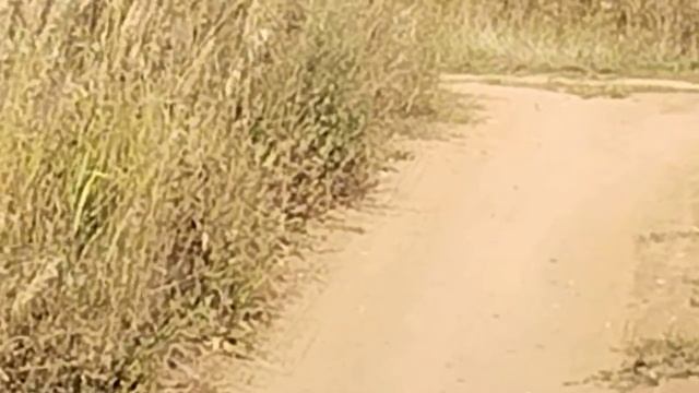 1000000317.mp4