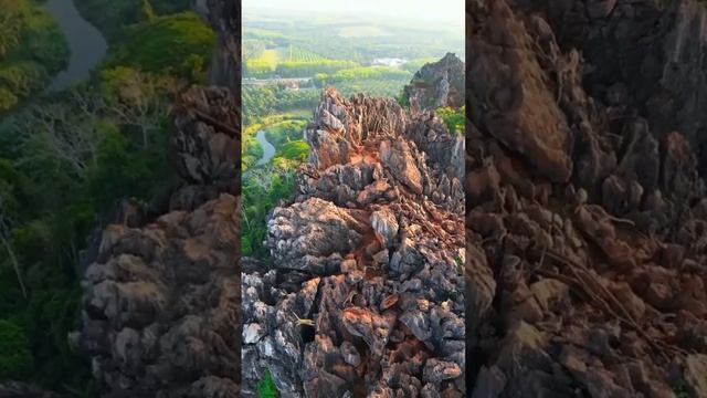 Гора обезьян
