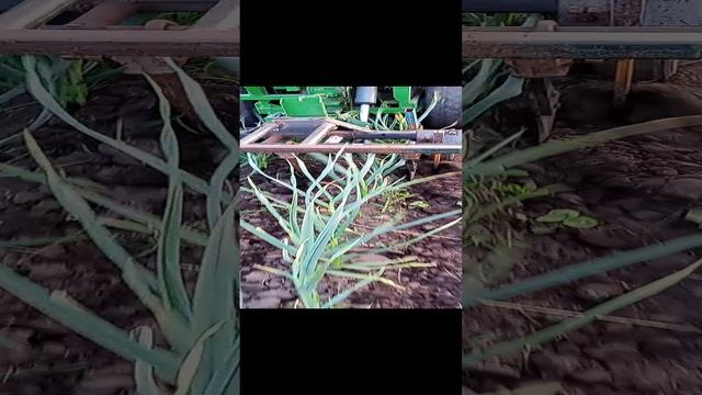 f714915c-b476-4a67-ae39-af55e026018b-1_all_512.mp4