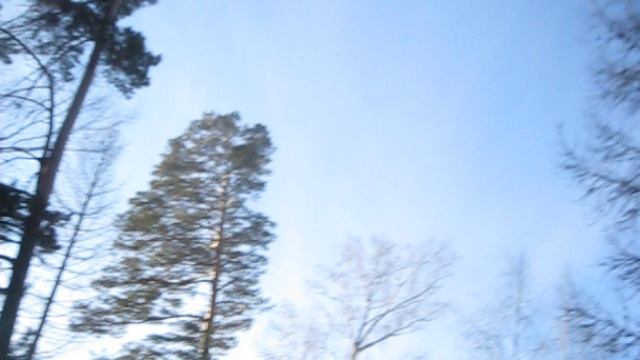 MVI_5407 Зима в Челябинском бору