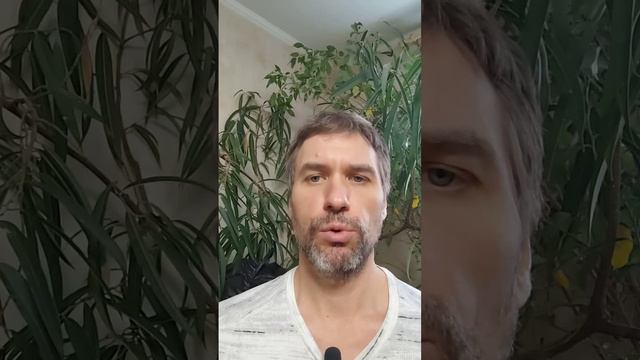 20250106 В мирском лесу. Рамакришна: Притчи и истории.