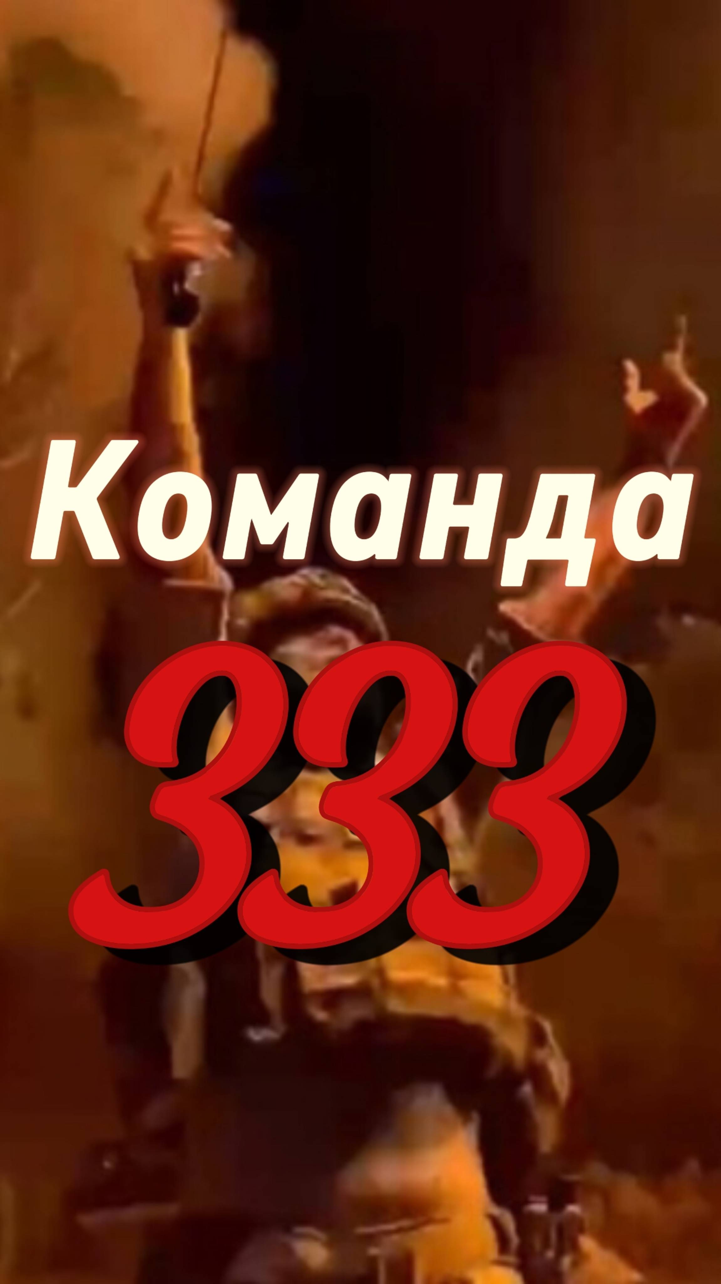 Команда 333