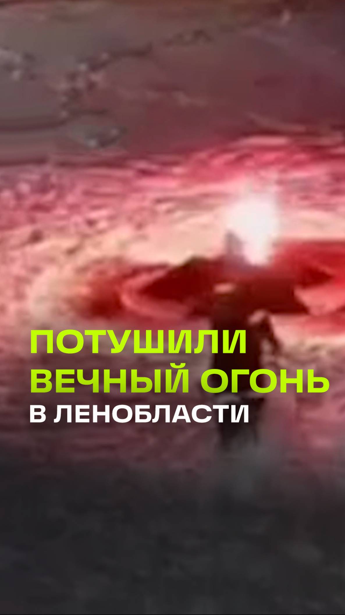 Школьники потушили Вечный огонь снегом в Ленобласти. Родителей оштрафовали