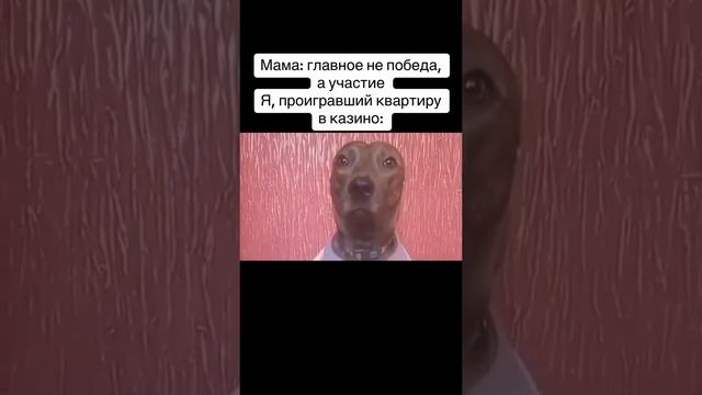 1000389691.mp4
