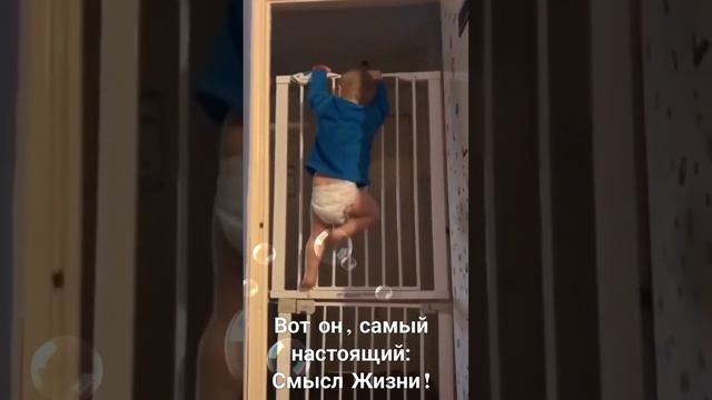 Смысл жизни.mp4