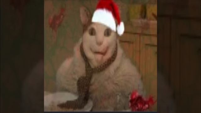 Бу испугался хаха ха хааааааааааааа