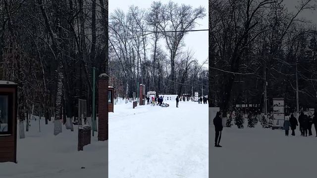 Гулять, гулять, а мы гулять