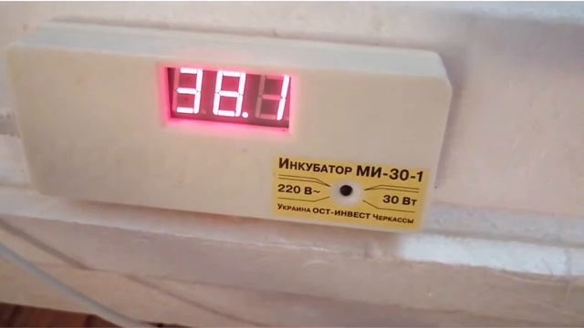 зарядил инкубатор 😁