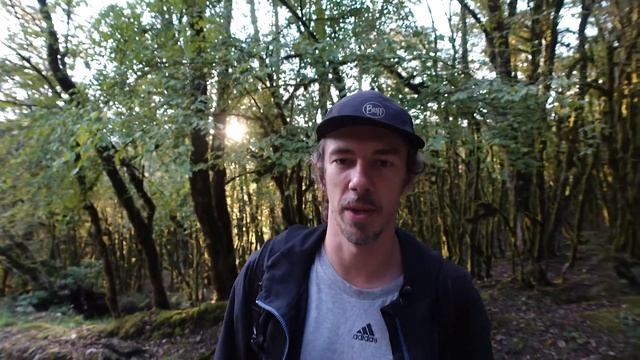 Самшитовый лес. Кто все съел? #поход #тур