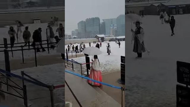 경복궁 폭설과 한복입은 사람들 Snowy Seoul Gyeongbokgung Palace