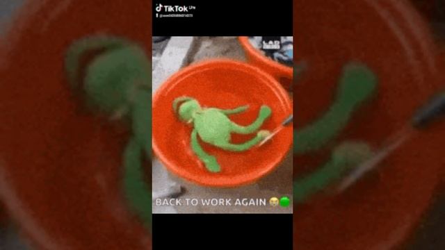 1000001748.mp4