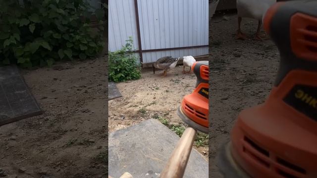советские стулья Лигна #издерева #diy #своимируками #стул#ссср #home #переделка