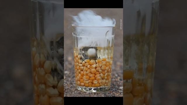 Раскаленная железка в кукурузе с маслом