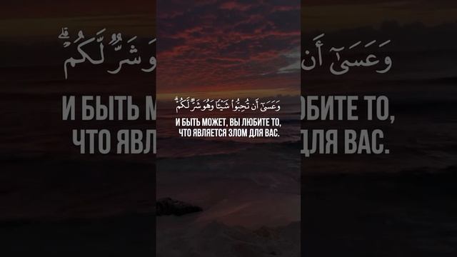 Сура 2 Аль-Бакара (216) Чтец: Махди Аш-Шишани


#religion #религия #islam #ислам #quran #коран
