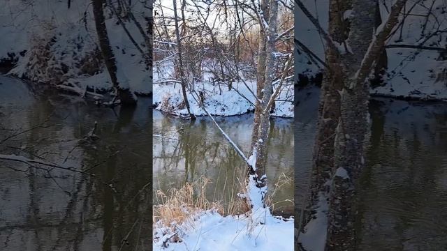 Скоро рождество: зима.