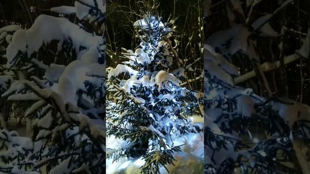 2024-12-30-230636177.mp4 Елена Дружиненко
С Наступающим Рождеством!