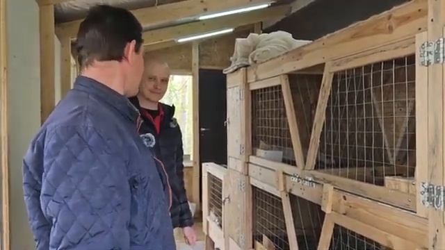 Кролики Александра Мишина и Катушки  Лечение Аппаратом ТГС 5 кроликов, цыплят в