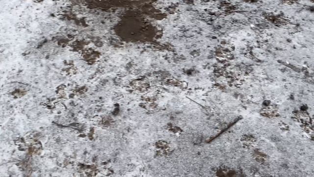 06-01-2025 охота