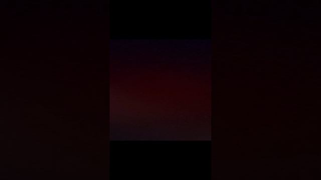 жизнь крыс