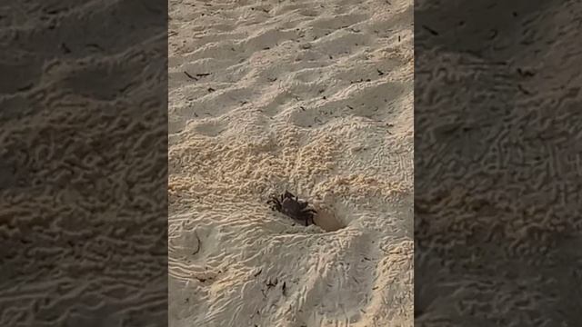 1000012661.mp4