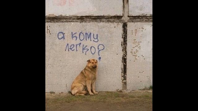 [ПРОДАН] FREE BOOM BAP OLD SCHOOL UNDERGROUND TYPE BEAT (METOX/УННВ/ЦИНК УРОДОВ)