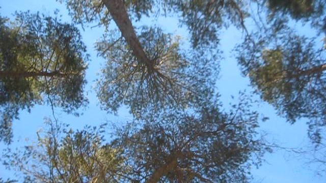 MVI_5406 Шестое спортивное января 2025