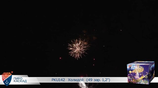 PKU142  Холидей  49 зар  1,2
