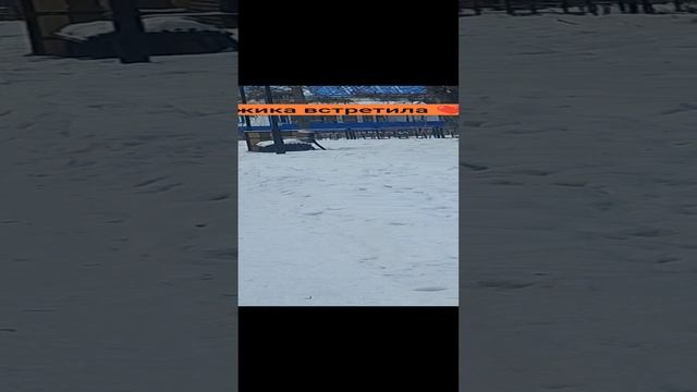 Рыжика встретила! 🐶❤❄