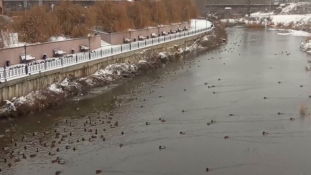 Набережная Утиный Остров на реке Кур зимой. Город Курск