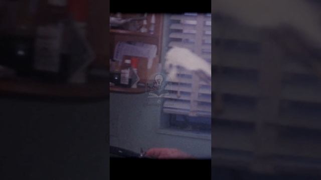 Wird KI die Handwerker ersetzen?