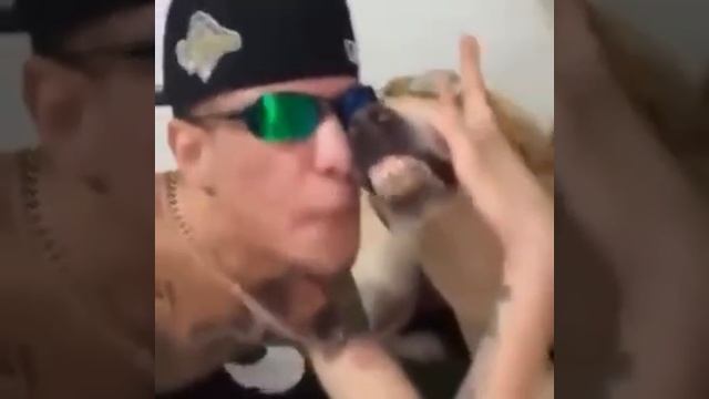 Пес