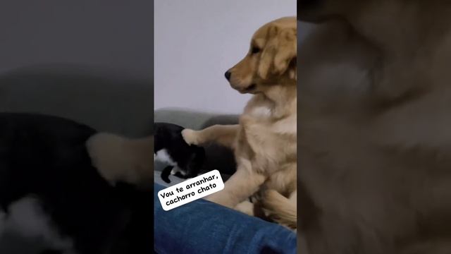 1000070507.mp4
