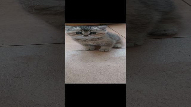 1000066543.mp4