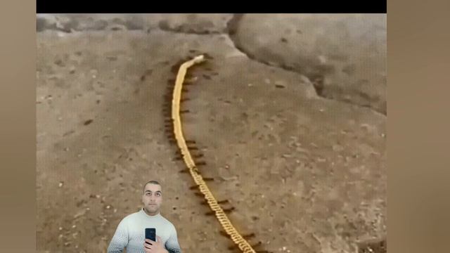 1000033310.mp4