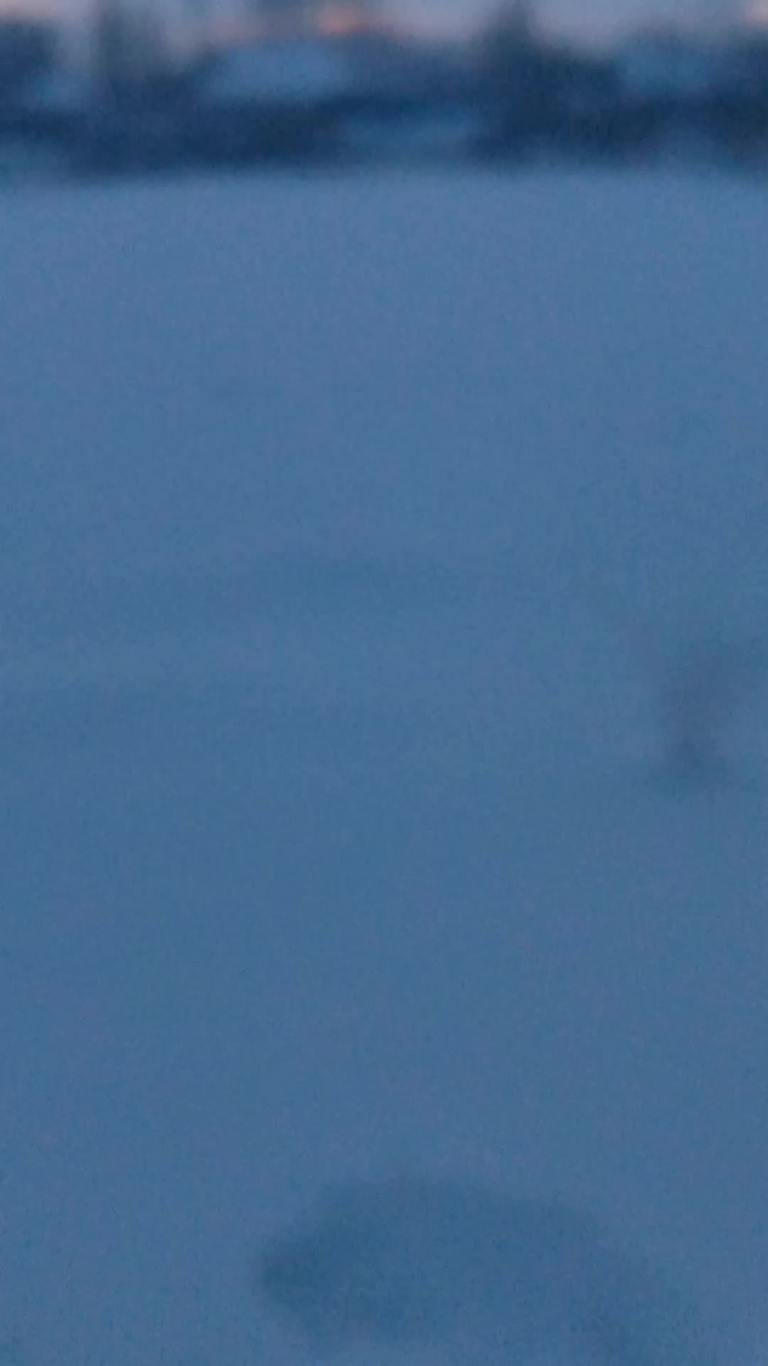 зимой ловим