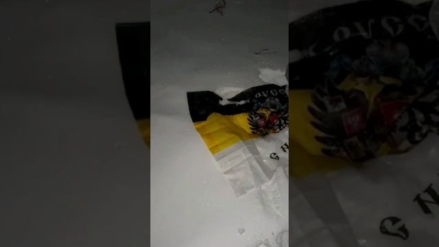 СЫКУН Русофоб-исламист сжег флаг Российской империи в Башкирии.