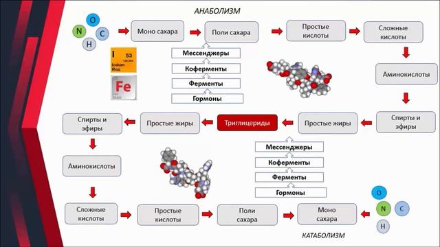 Секрет похудения