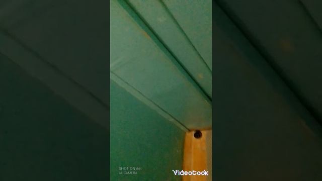 КЕГА