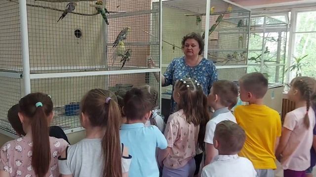 станция юннатов, Мастерская экскурсий, г.Новосибирск