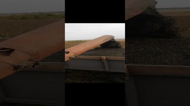 2019-09-18 10-11-12.MP4