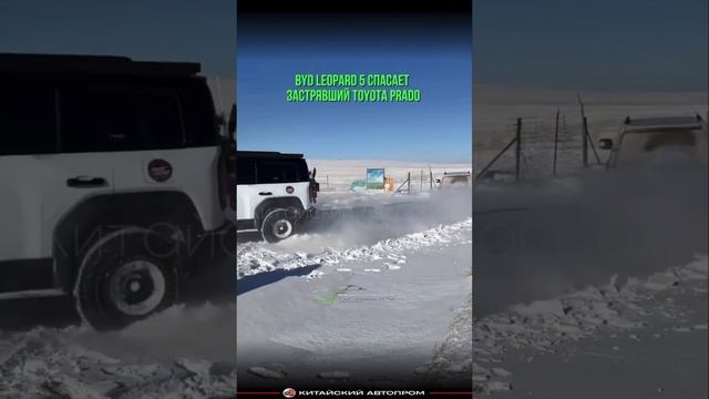 йтеры скажут монтаж 😃

Китайский BYD Leopard 5 спасает застрявший Toyota Prado