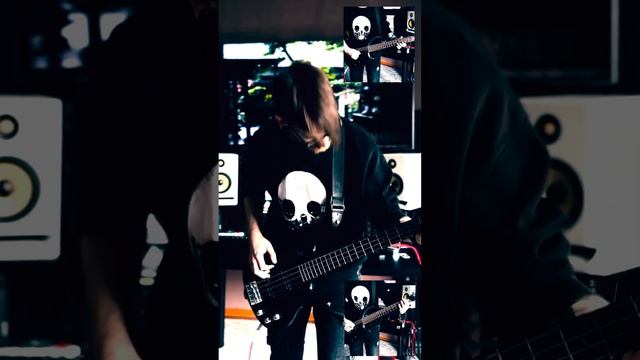 I Wish I Wasnt Awake #cover #intig #blackmetal