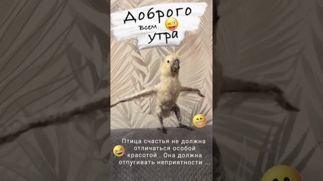 Доброе утро, ПОНЕДЕЛЬНИК! 🤗🤗🤗 06.01.2025г. Друзья, всем здоровья,  удачи, везения, счастья!