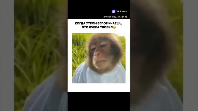 VID-20250103-WA0020