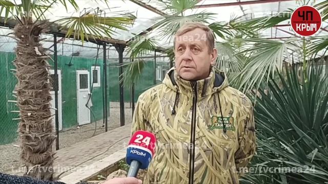 🦆В крымский сафари-парк под Белогорском передали пострадавших от мазута птиц из Евпатории