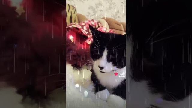 Перезалив с Like - Я не игрушка!