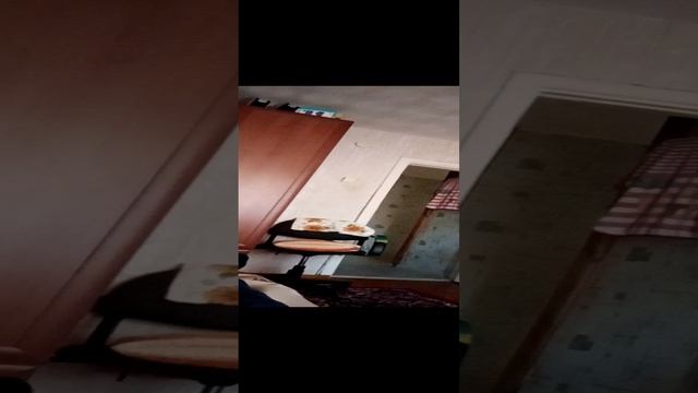 VID_20220930_101158 — копия